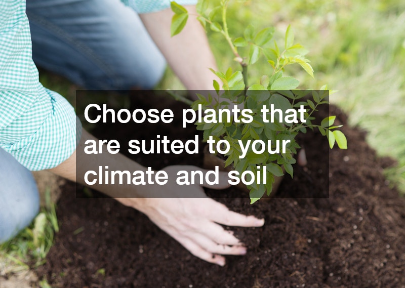 hands planting a seedling in the ground